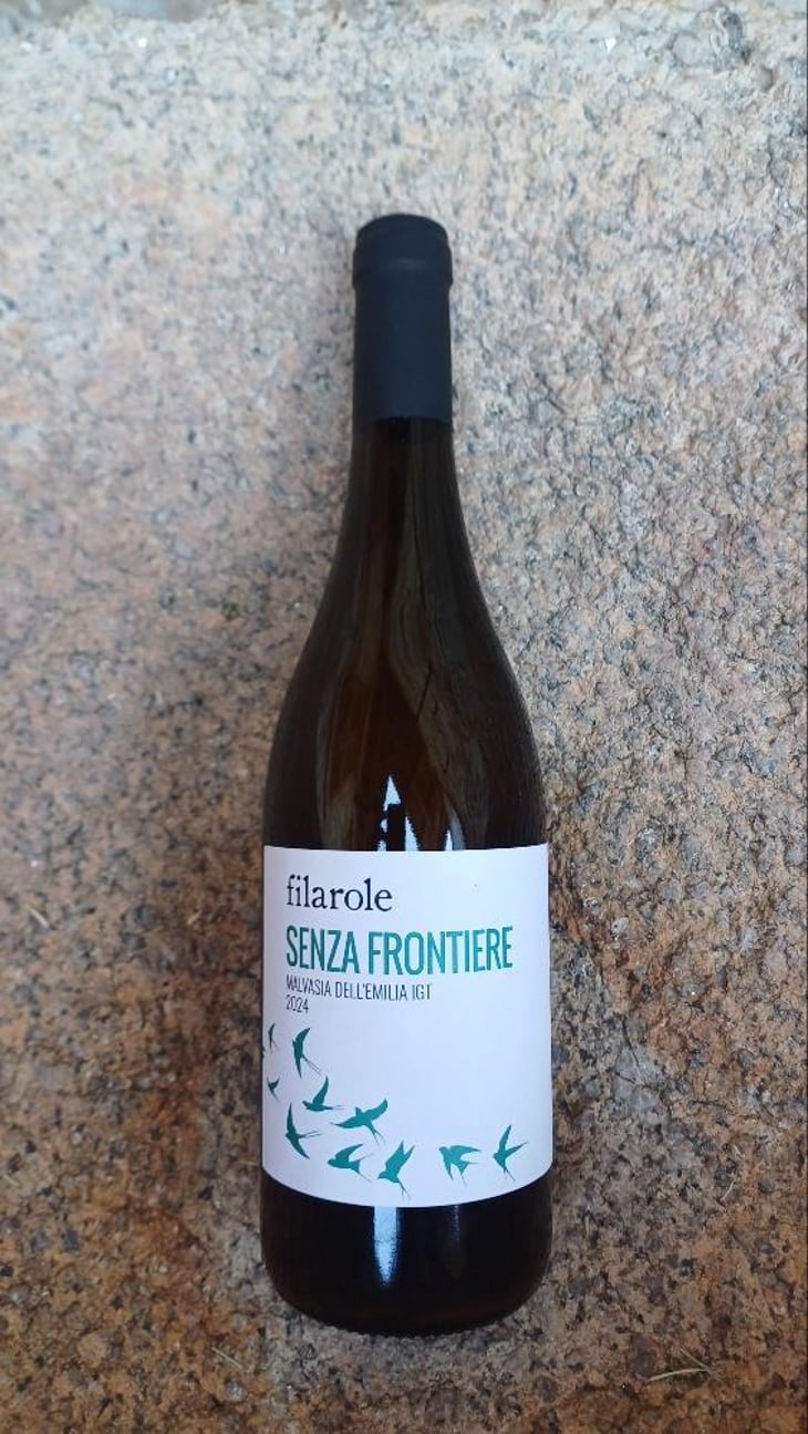 Senza Frontiere - Filarole - barbara-pulliero-paolo-rusconi -2024