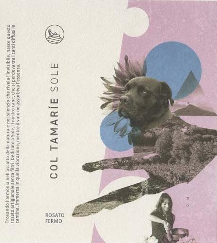 Sole - Col Tamarie - alberto-dalle-crode 