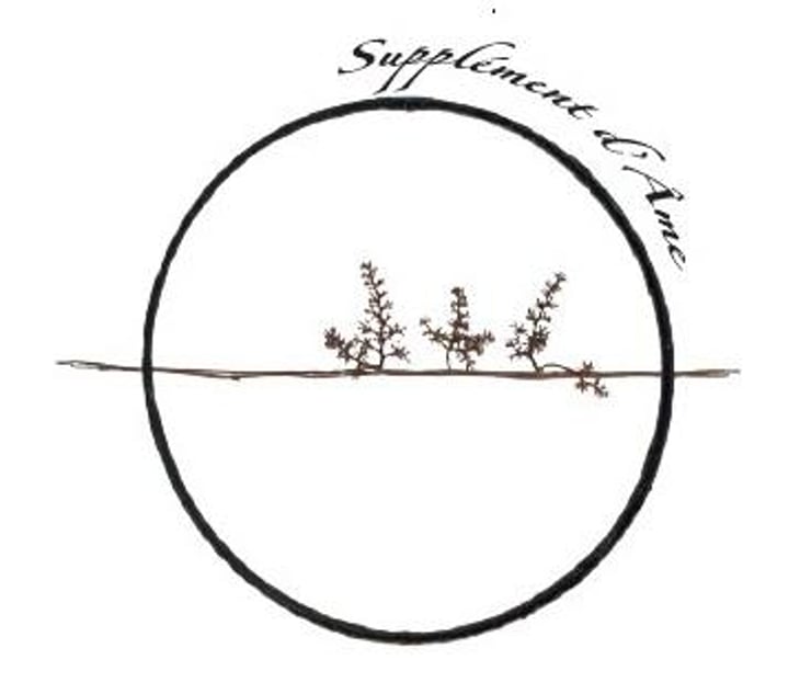 Supplément d'Âme - Vignoble des Vernusses - loren-petit -2022