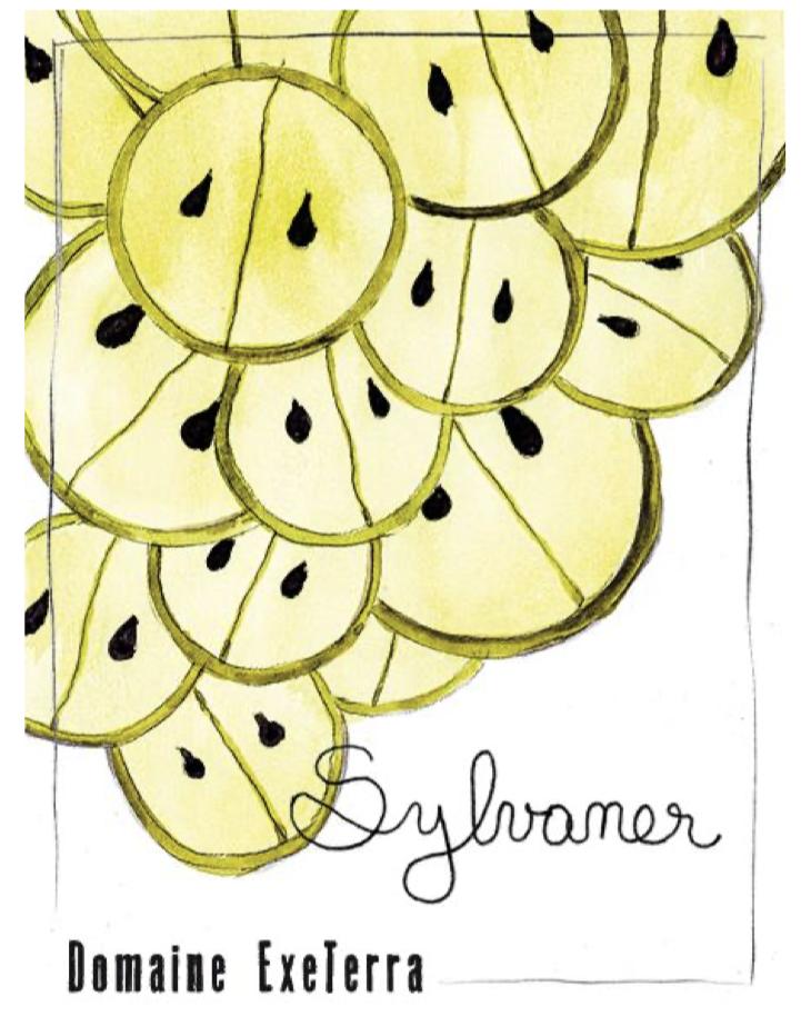 Sylvaner - Domaine Exeterra - florence-kachelhoffer -2023