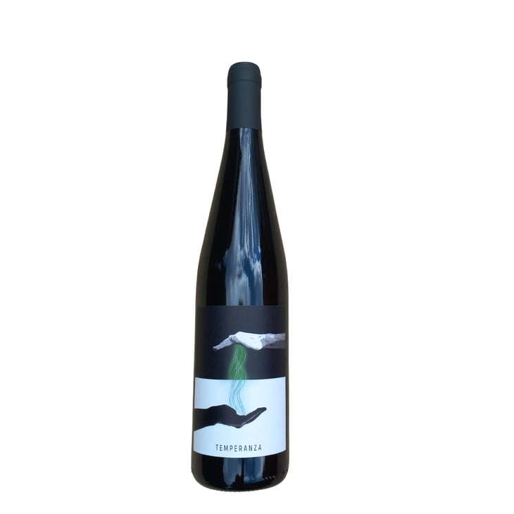 Temperanza - Clio Cicogni - clio-cicogni 