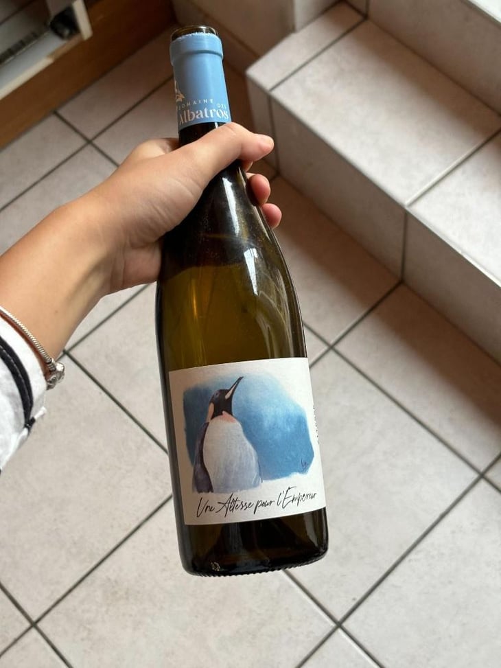 Test - Raisin Test Domaine - raisin -2025