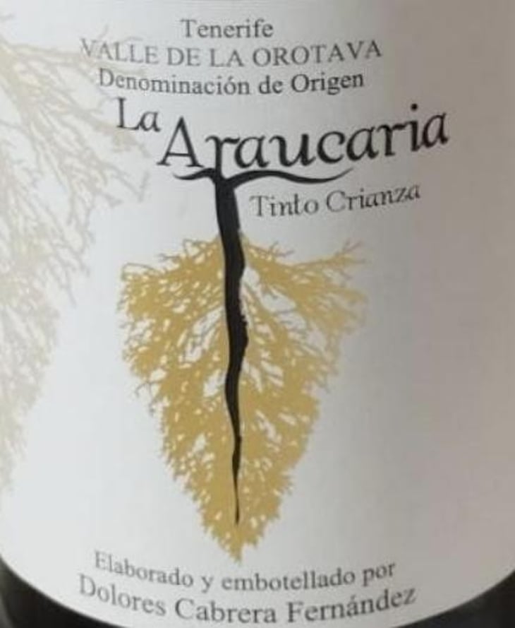 Tinto Crianza - Bodega La Araucaria - dolores-cabrera-fernandez 