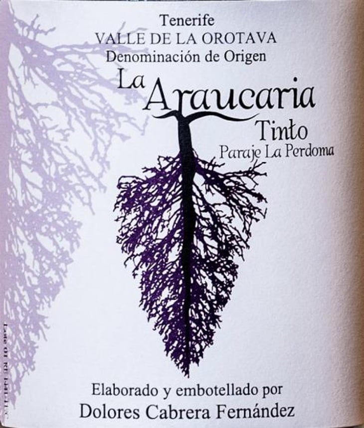Tinto Paraje La Perdoma - Bodega La Araucaria - dolores-cabrera-fernandez 