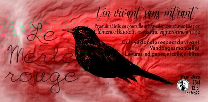 Le Merle Rouge - Les Fleurs Jaunes - marc-sanchez-toha-clemence-baudoin-qz -2021