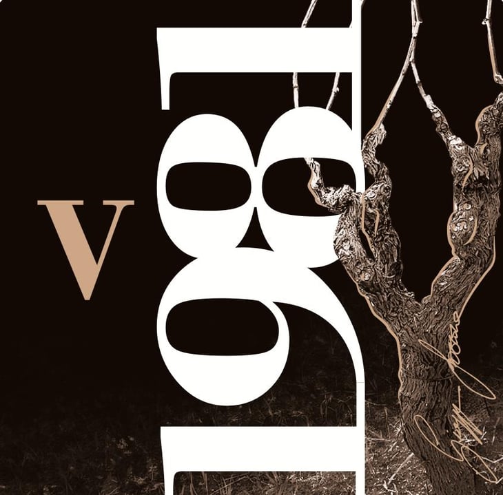 V1981 - Giuseppe Lazzaro - giuseppe-lazzaro 