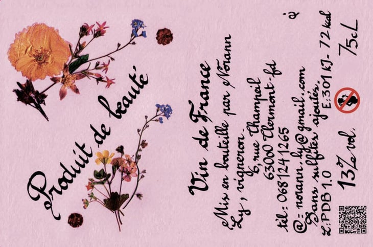 Vous Vas Voir - Norann Ly Vigneron - norann-ly 