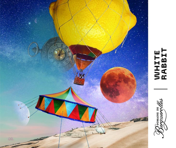 White Rabbit - Domaine De Berguerolles - mathieu-manifacier 