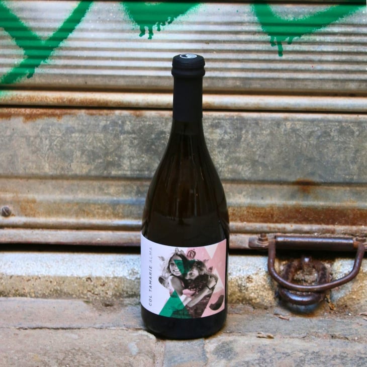 Alma - Col Tamarie - alberto-dalle-crode -2023