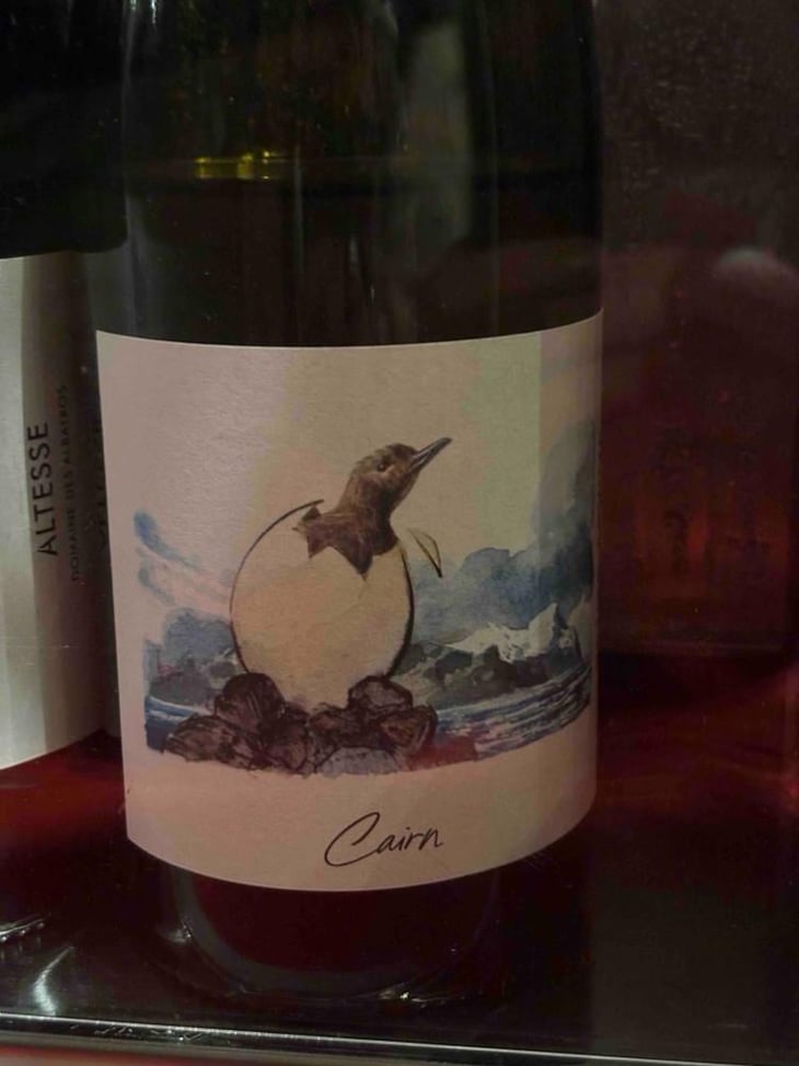 Cairn - Domaine des Albatros - julien-cartier -2024