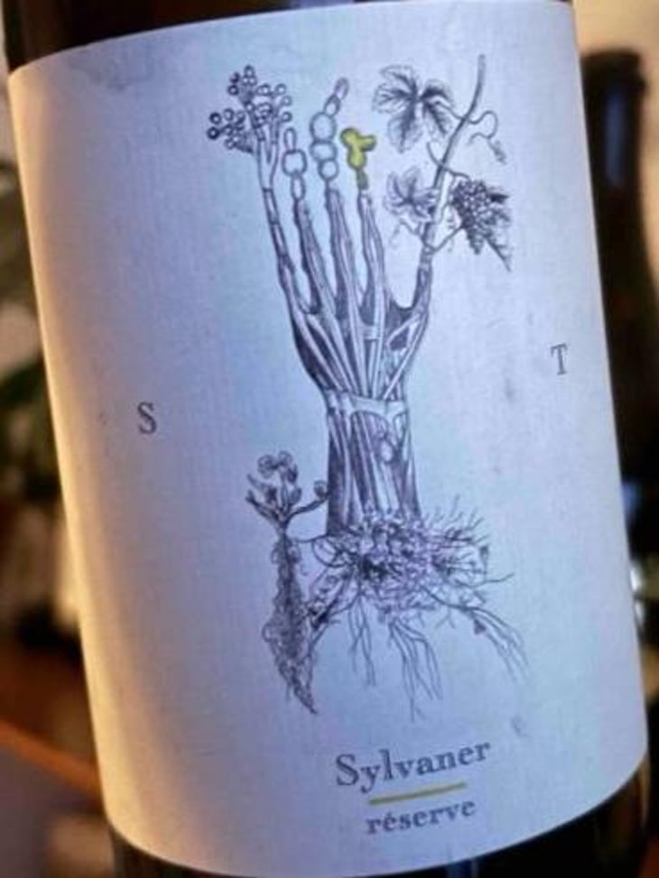 ST Sylvaner réserve - Soil Therapy - Les Vins du Mardi - thomas-larmoyer -2023
