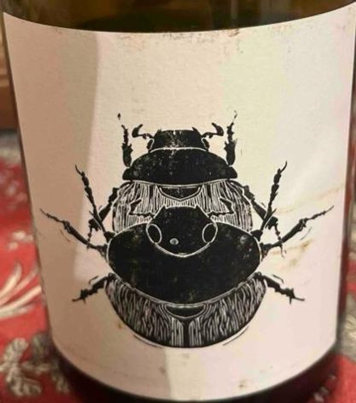 Superposition - Vin Noé - jonathan-purcell -2022