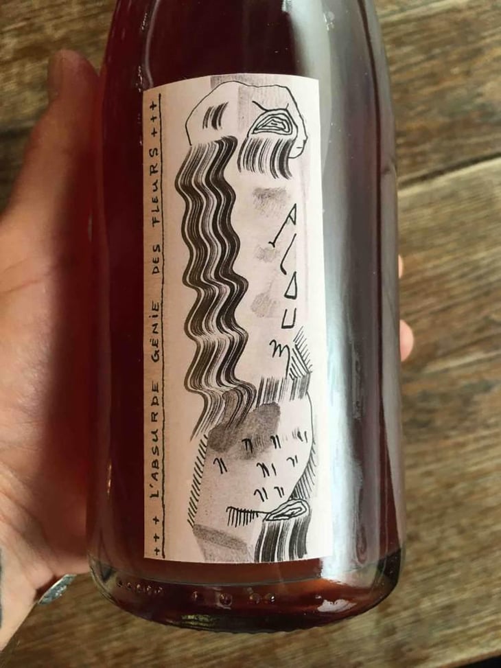 Ploum - L’absurde Génie Des Fleurs - Miha Trifa & Tom Gautier 