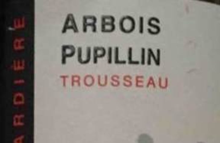 Trousseau - Domaine de la Renardière - jean-michel-laurence-et-leo-petit 