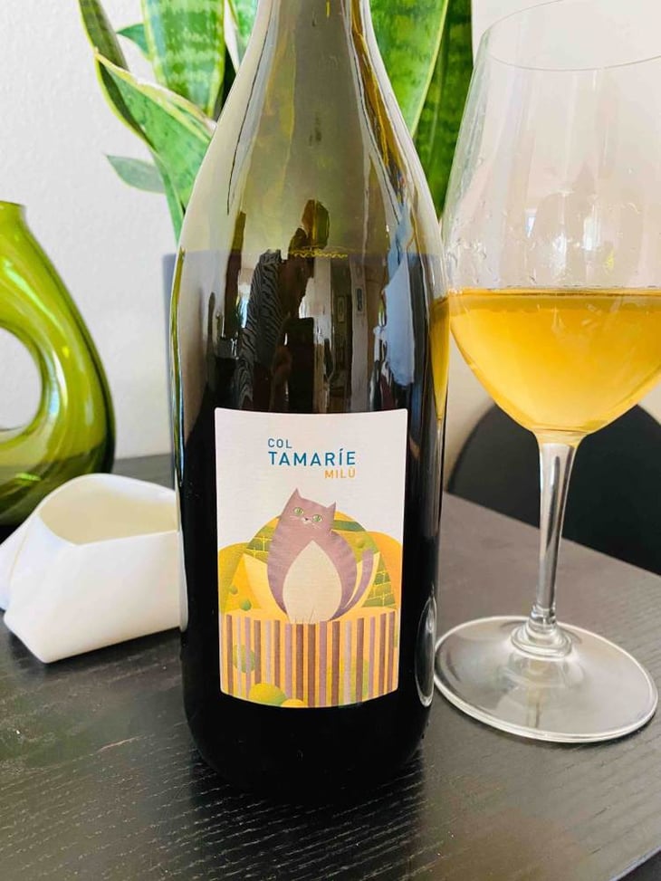 Milù - Col Tamarie - alberto-dalle-crode 