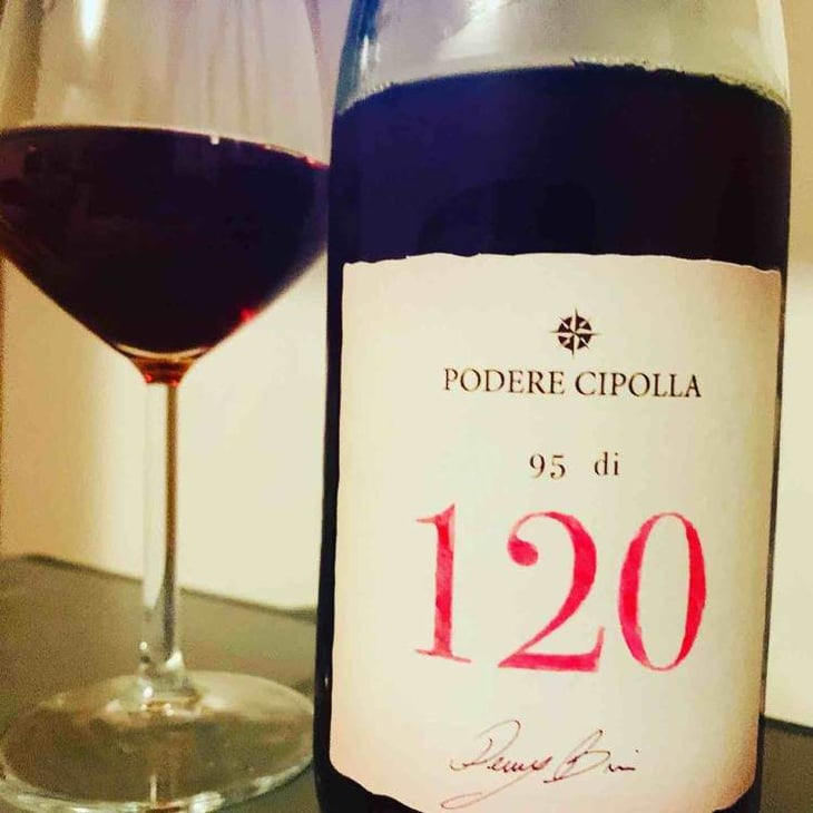 120 - Podere Cipolla - denny-bini 