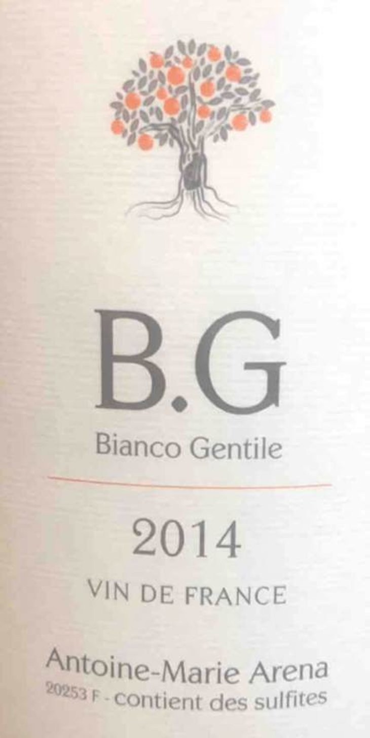 B.G - Antoine-Marie Arena - antoine-marie-arena 