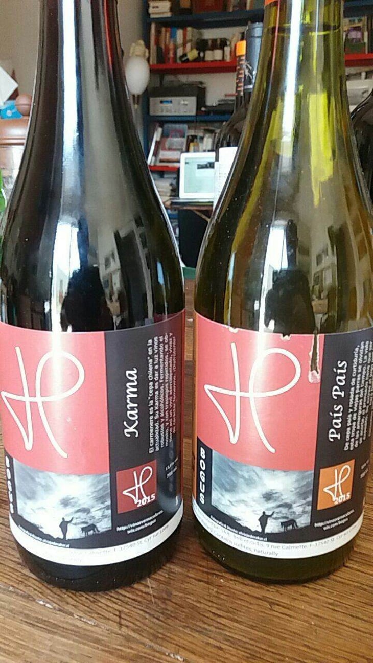 País País - Domaine Beauthorey - christophe-beau 