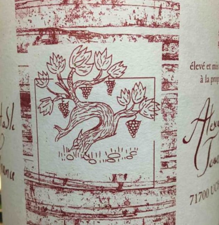 Pinot Noir - Alexandre Jouveaux - alexandre-jouveaux 