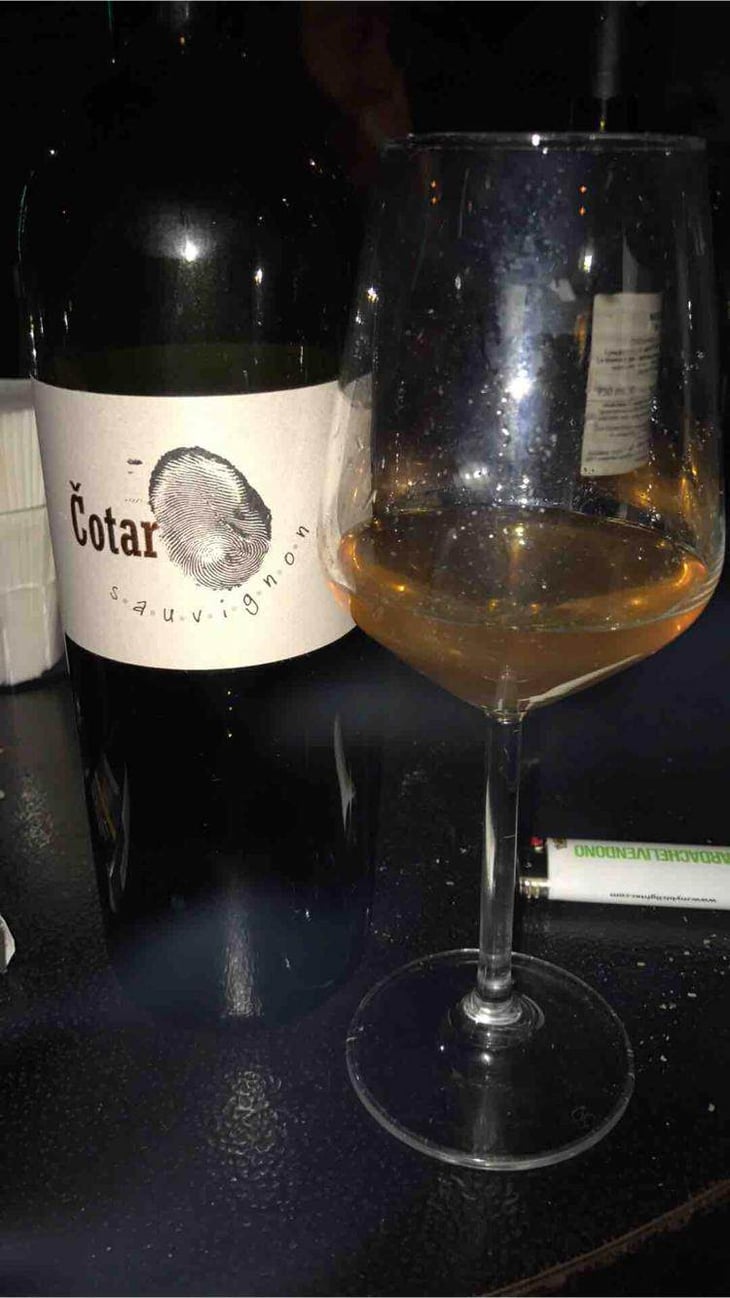 Sauvignon - Čotar - branko-vasja-cotar 
