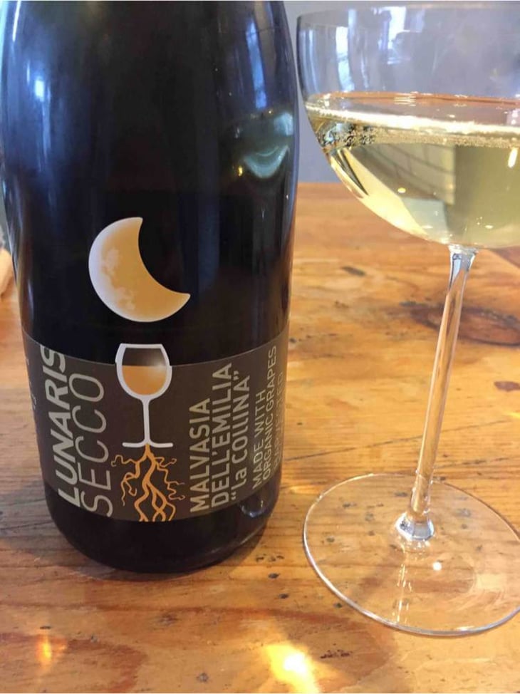 Lunaris Secco - Cooperativa Agricola La Collina - enea-burani 