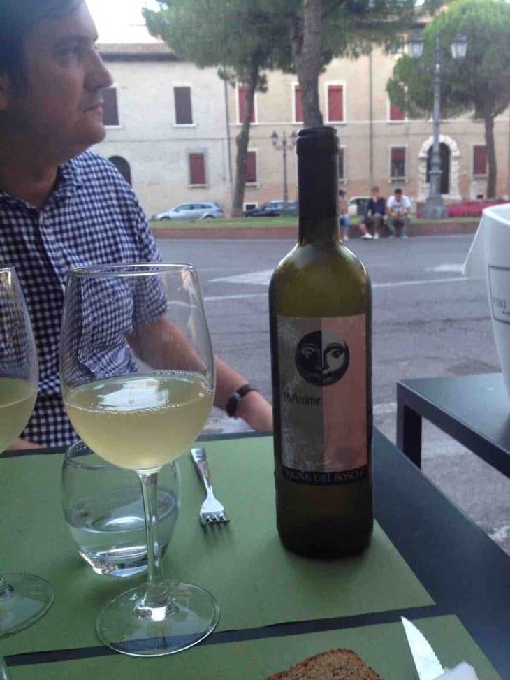 16 Anime - Vigne dei Boschi - paolo-babini 