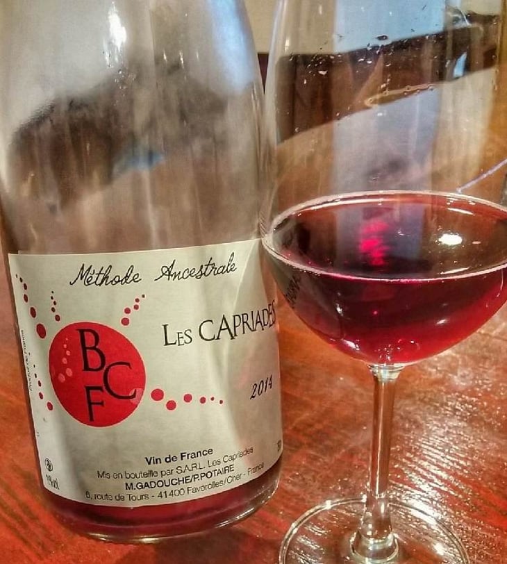 BCF - Les Capriades - pascal-potaire-moses-gadouche 