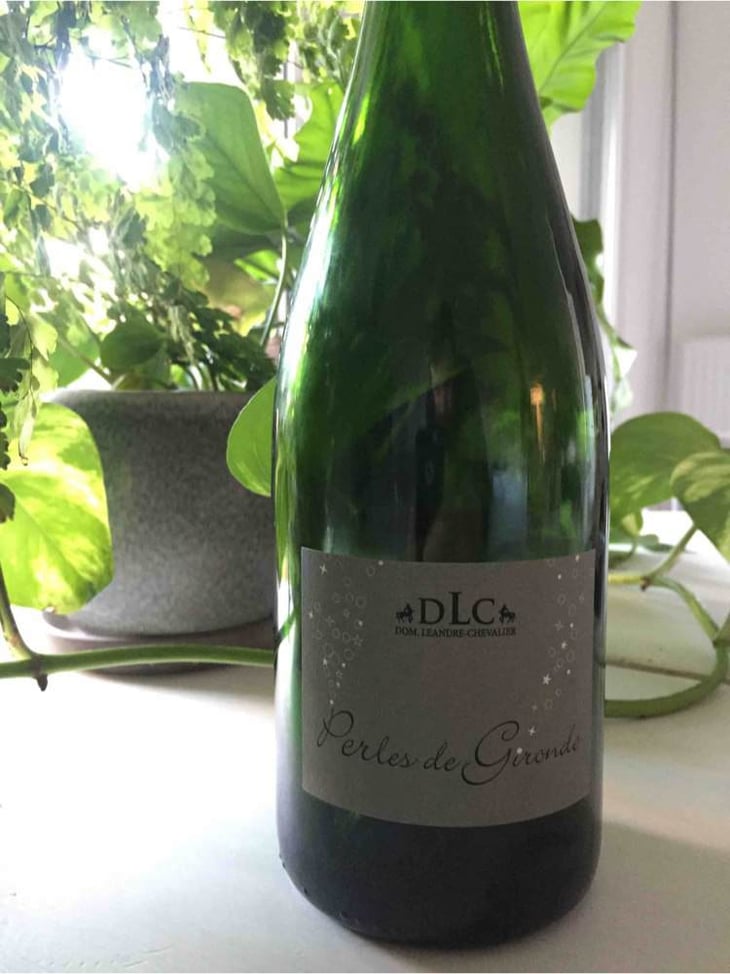 Perles de Gironde - Domaine Léandre-Chevalier - DLC - L'Homme-Cheval - dominique-leandre-chevalier-reto-erdin 