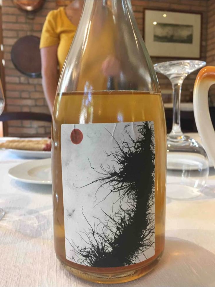 Falestar - Azienda Agricola María Bortolotti - flavio-cantelli-maria-bortolotti 