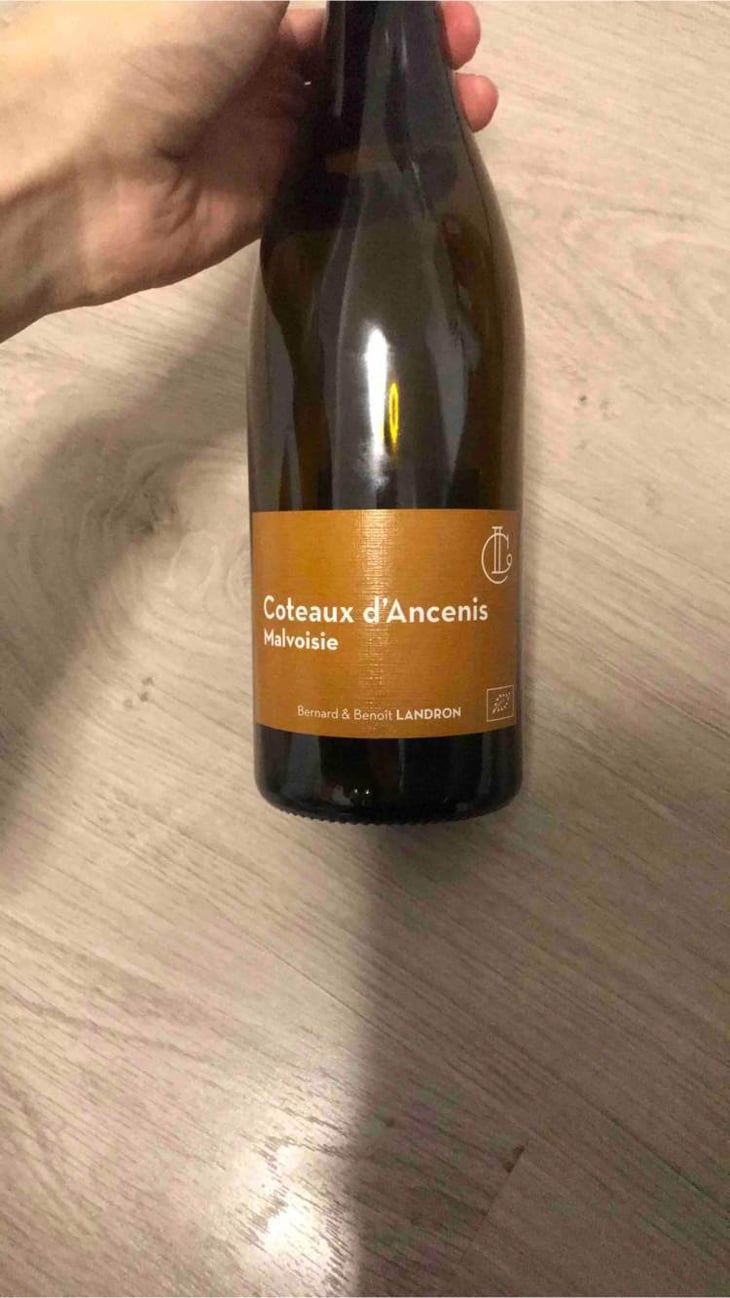 Coteaux d’Ancenis - Domaine Landron-Chartier - bernard-francoise-benoit-landron 