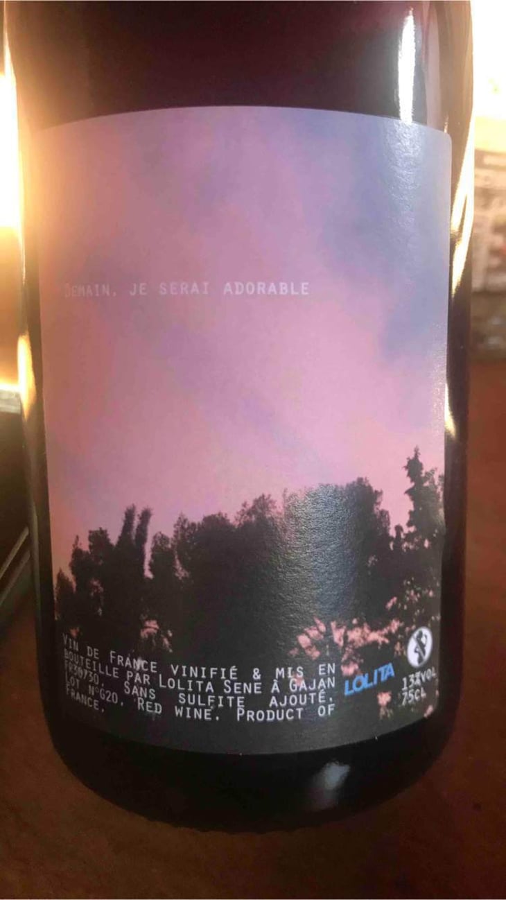 Demain, Je Serai Adorable - Lolita Sene - lolita-sene 