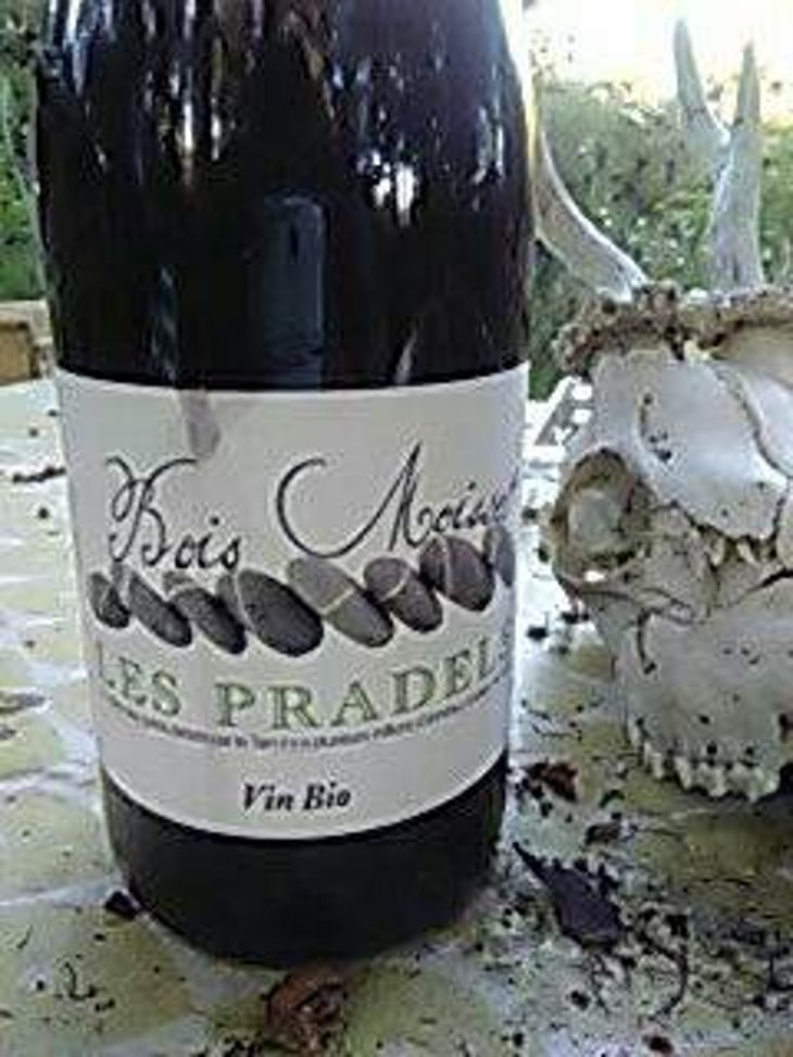 Les Pradels - Domaine Ferme Bois Moisset - sylvie-philippe-maffre 