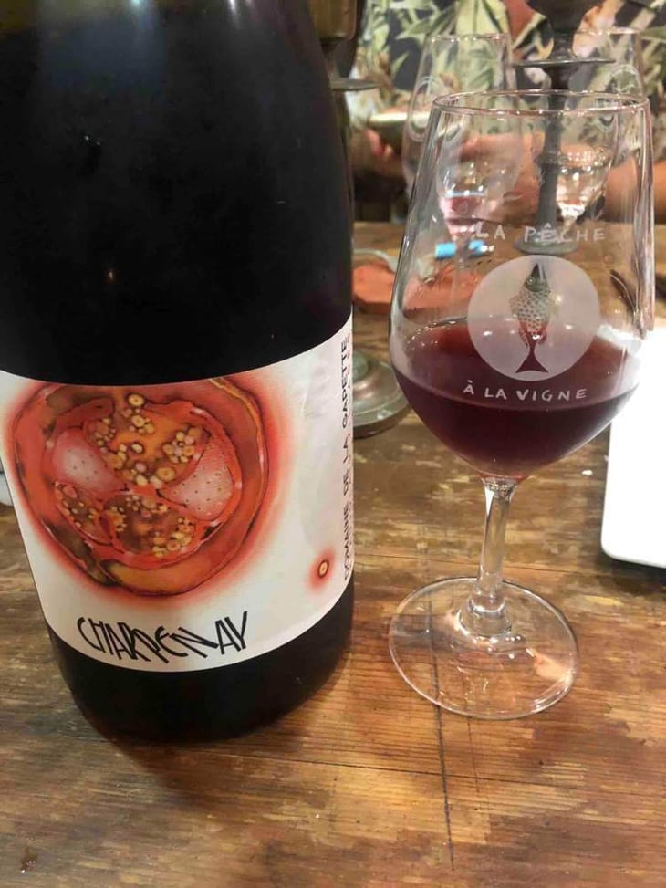 Charpenay Rouge - Domaine de la Gapette - victor-blondin 