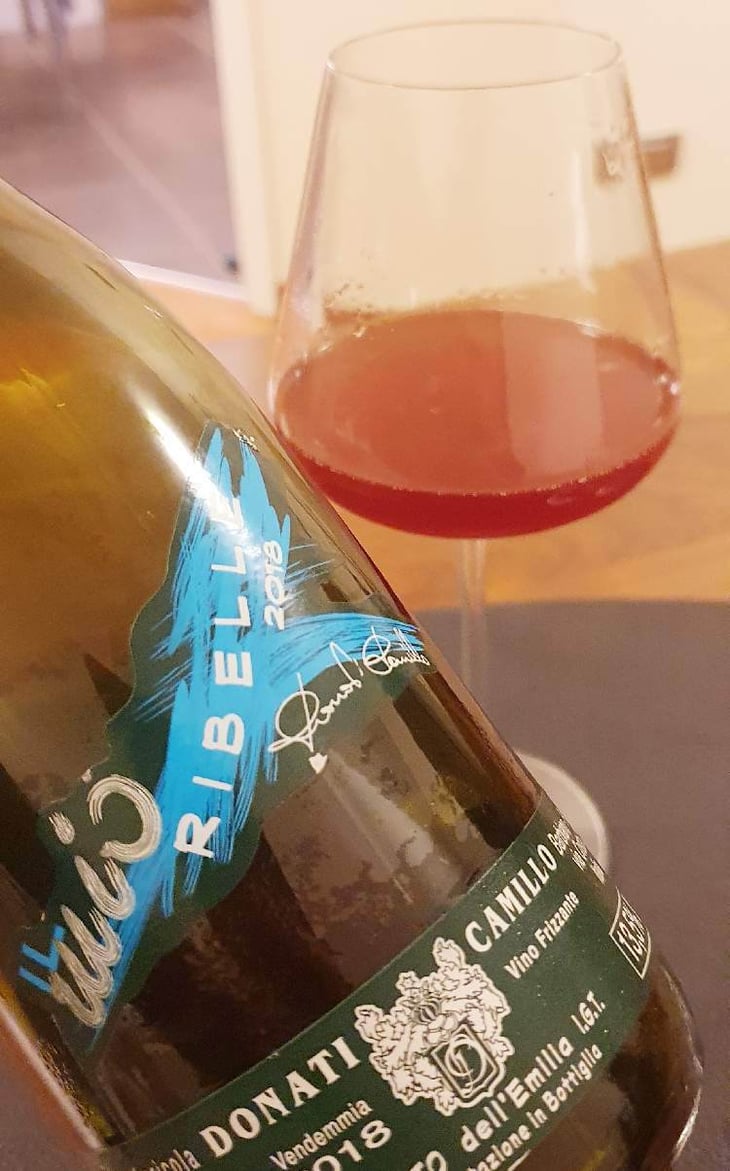 Il Mio Ribelle - Camillo Donati - camillo-donati 