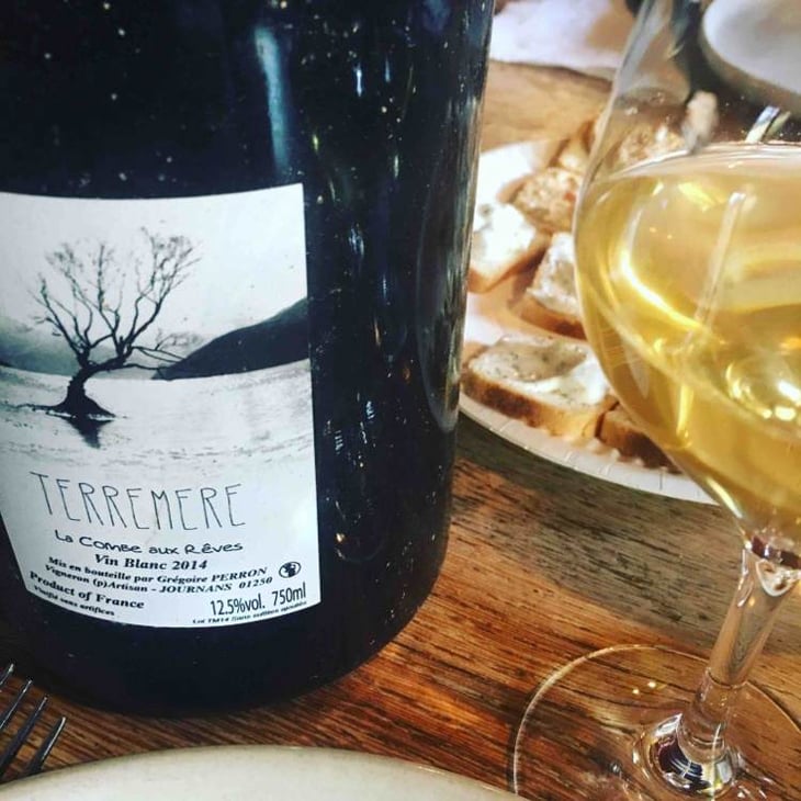 Terremere (old label) - La Combe aux Rêves - gregoire-perron-judicaelle-cevasco 