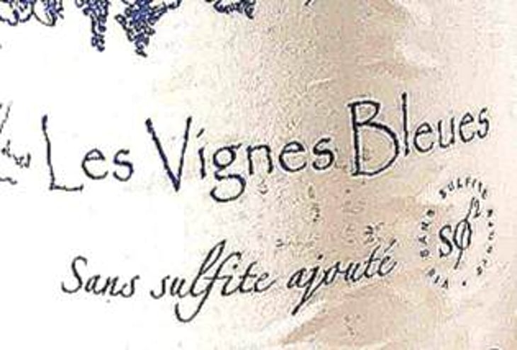 Les Vignes Bleues - Les Tuiles Bleues - celine-laforest 