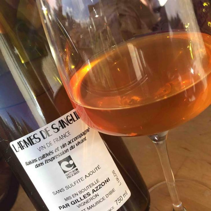 Les Larmes de sanglier - Le Bateleur - gilles-antonin-azzoni 