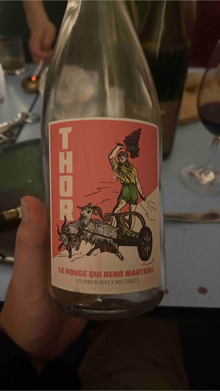 THOR - Le Rouge Qui Rend Marteau - Domaine Meïgoon - saharnaz-ahangi-et-gauthier-ollivier -2021