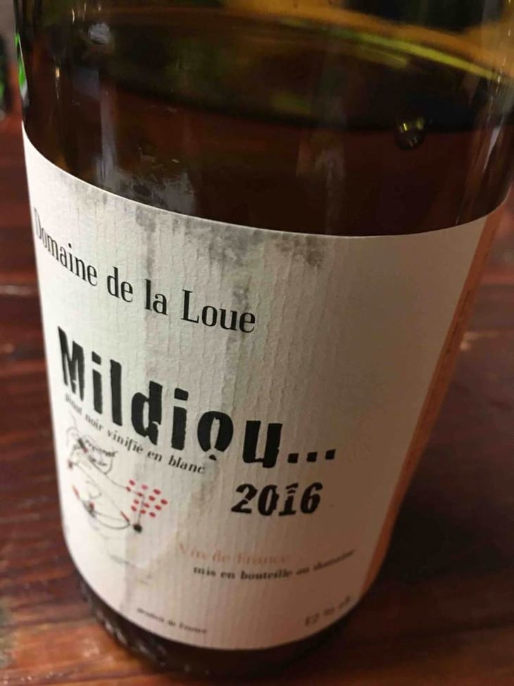 Mildiou - Domaine de la Loue - catherine-hannoun 
