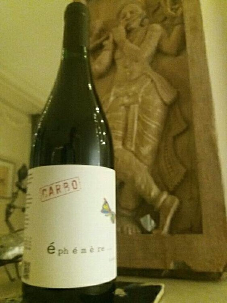 Carbo Éphémère - Domaine Miolanne - jean-baptiste-deroche-laure-cartier 