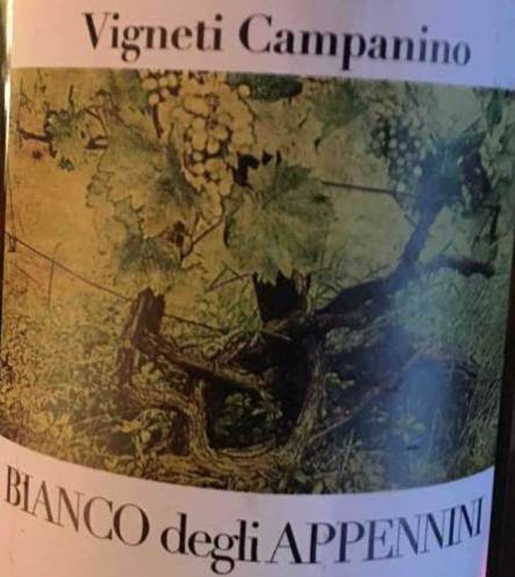 Bianco degli Appennini - Tenuta Baroni Campanino - andrea-caracciolo 