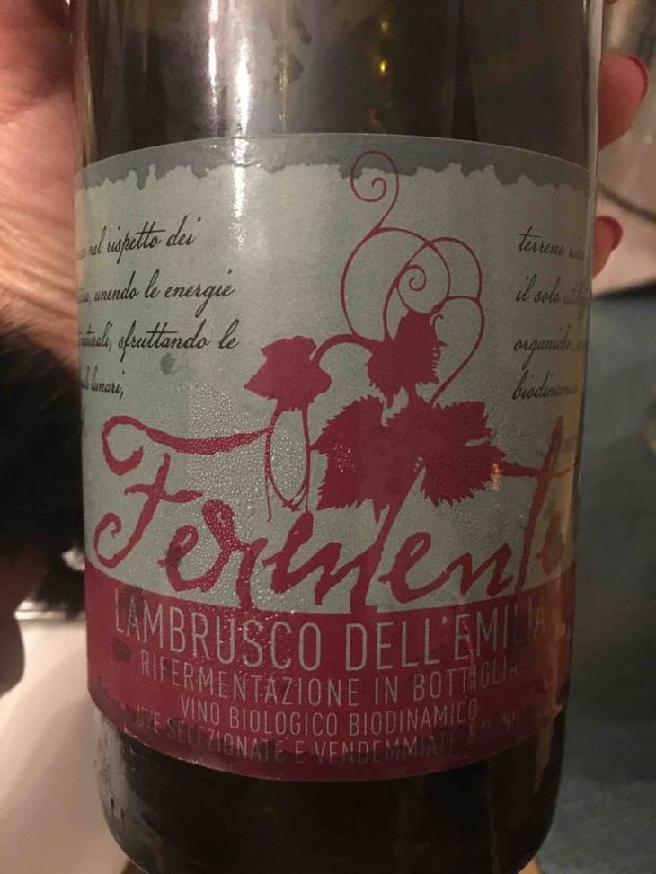 Fermente - Cooperativa Agricola La Collina - enea-burani 