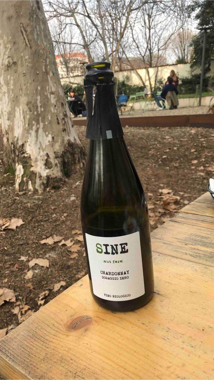 Sine - La Graine Sauvage - sybil-baldassarre 