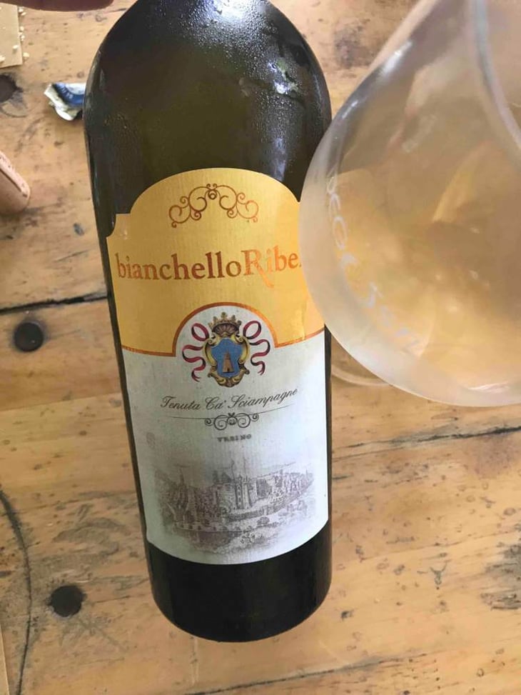 Bianchello Ribelle - Tenuta Ca’ Sciampagne - leonardo-cossi-paola-grillo 