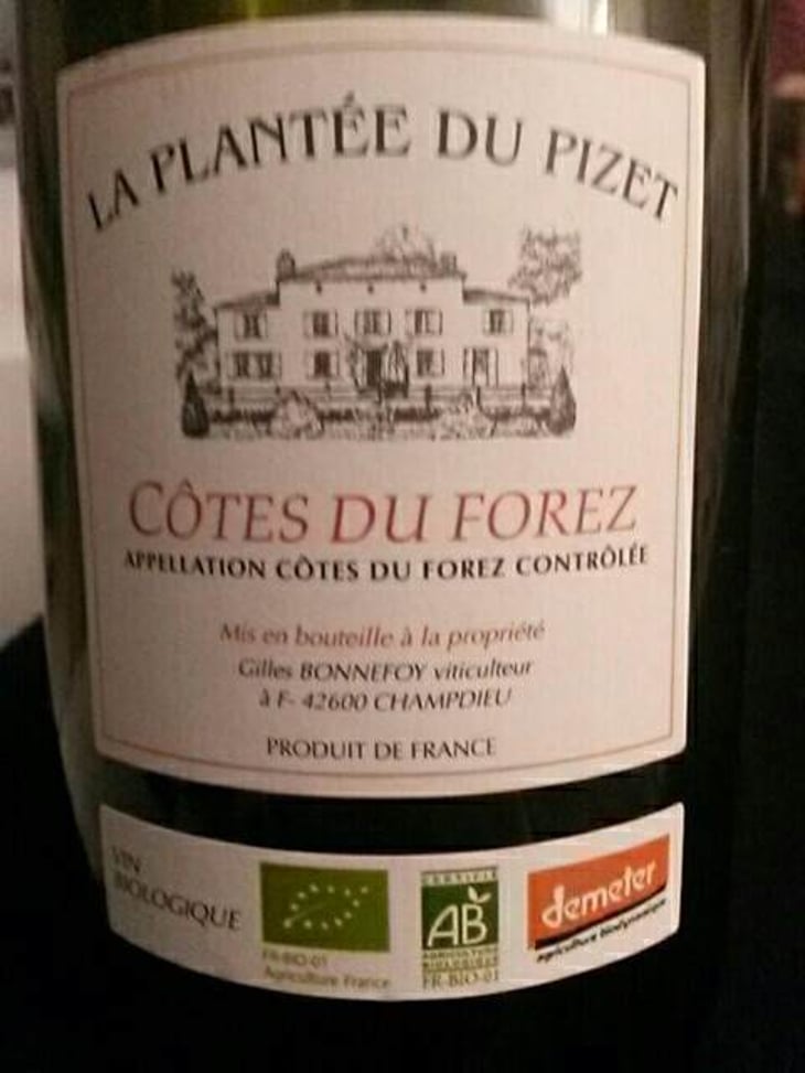 La Plantée du Pizet - Vins de la Madone - gilles-bonnefoy 