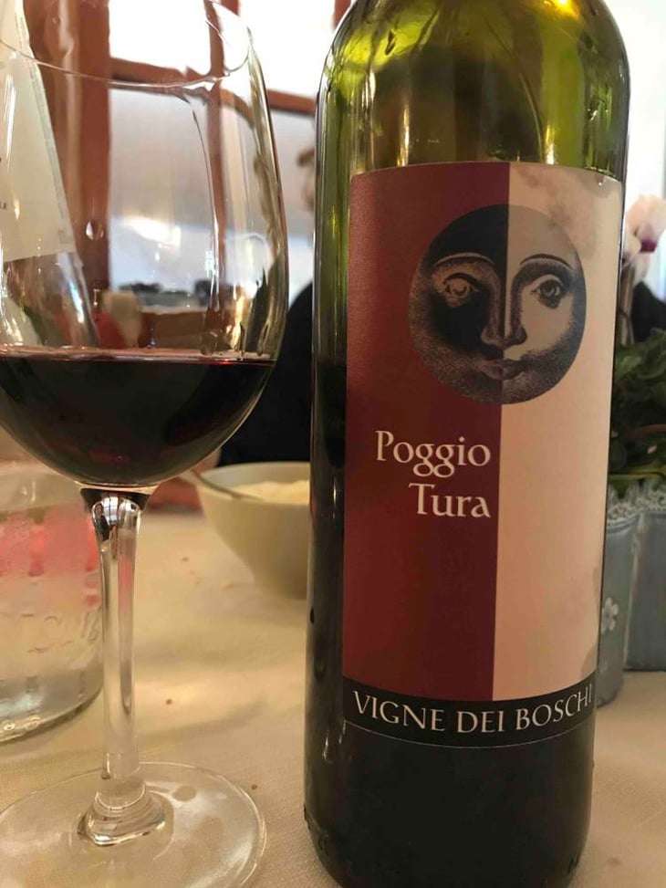 Poggio Tura - Vigne dei Boschi - paolo-babini 
