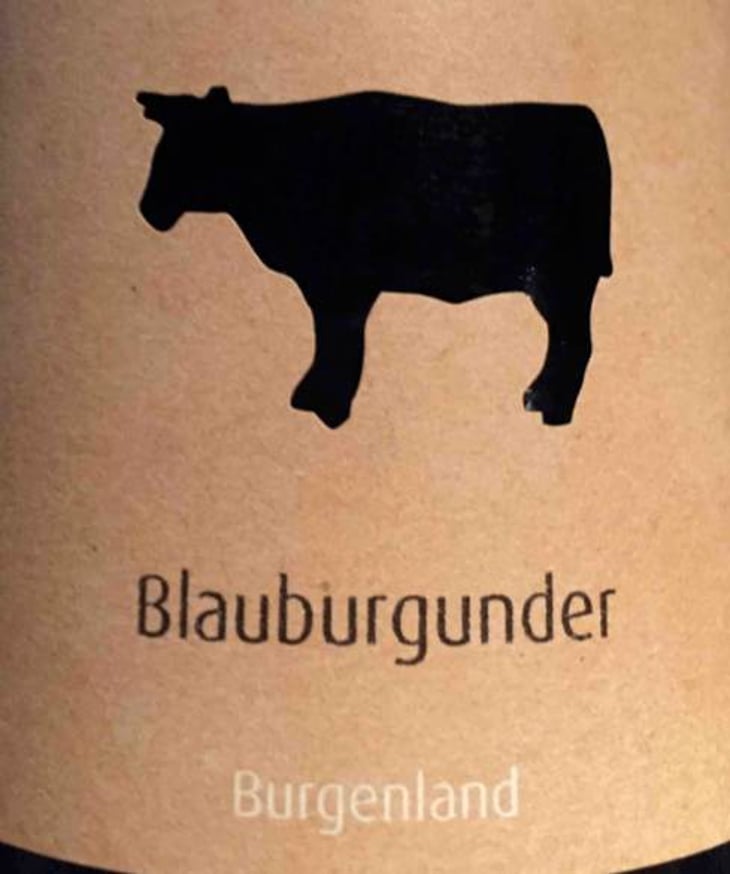Blauburgunder - Meinklang - Weingut Michlits - angela-werner-michlits 