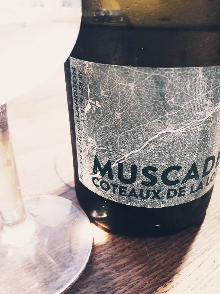 Synclinal D'Ancenis - Domaine Landron-Chartier - bernard-francoise-benoit-landron 