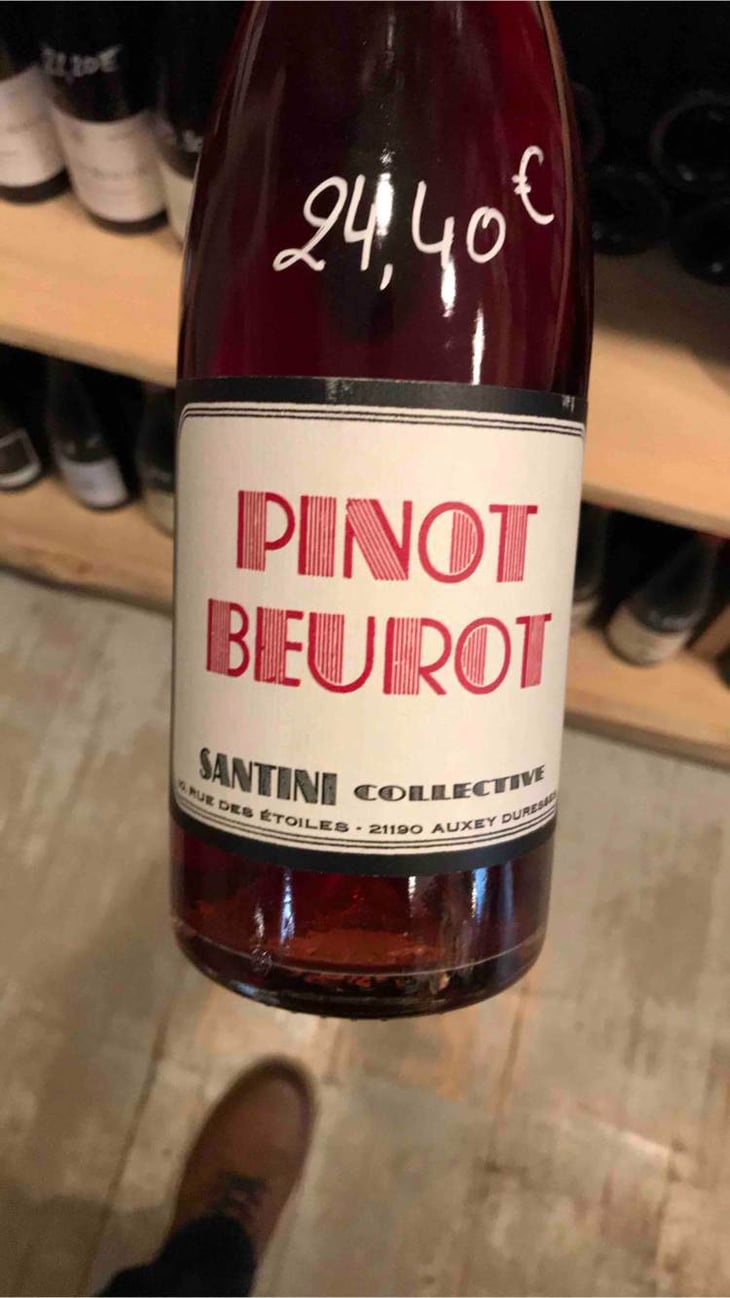 Pinot Beurot - Santini Collective - christopher-patrick-santini 
