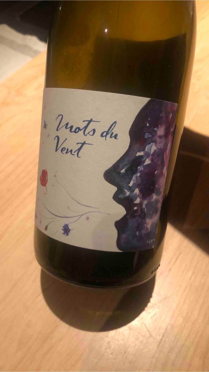 Mots du Vent - Les innocents - bruno-vacon 